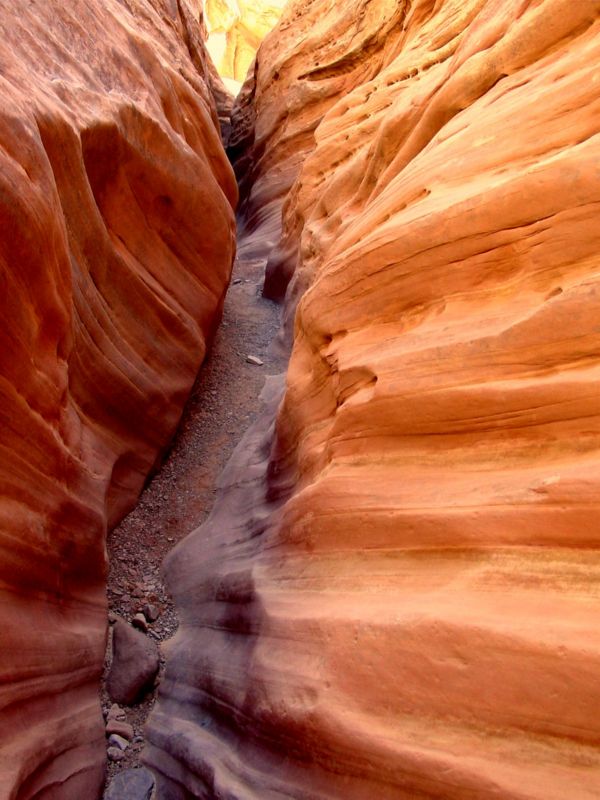 04160302LittleWildHorse (1036)